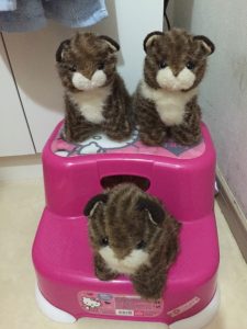 3匹の猫…