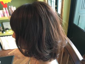 先日のお客様。