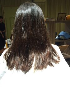 帰省前に来てくれました!伸びててびっくり!