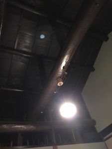 img_1890