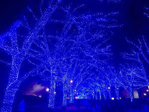 渋谷 青の洞窟