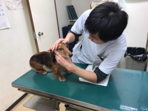 今日事前検査にも行ってきました