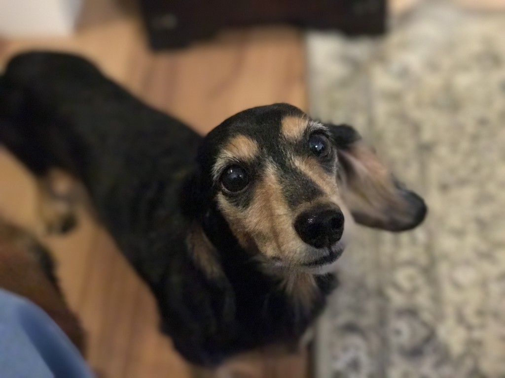 !?